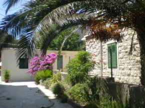 BAČE